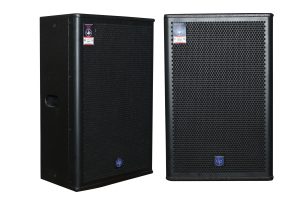 Loa Hội Trường LP15